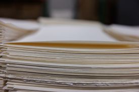 Paper pulp and fiber thumbnail