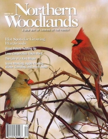 Photo by Tom Kivlan Voss Winter 2007 cover 